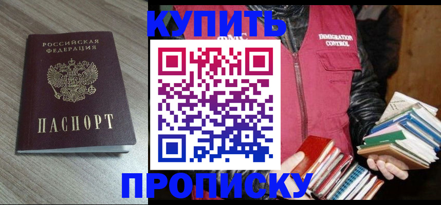 прописка 2025 в Жуковском